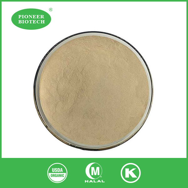 organic yeast extract